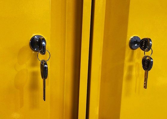 kopen Chemische opslagkast met afmetingen 109x46x123CM, 109x46x165CM en 109x86x165CM voor de opslag van gevaarlijke stoffen online vervaardiging